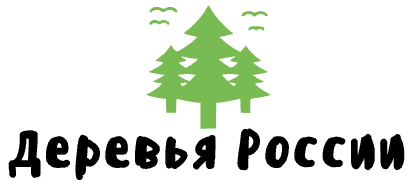 Лесной фонд России