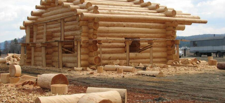 Плюсы и минусы строительства из лиственницы