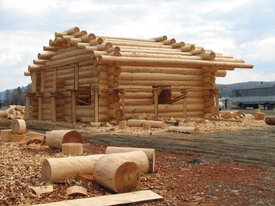 Плюсы и минусы строительства из лиственницы