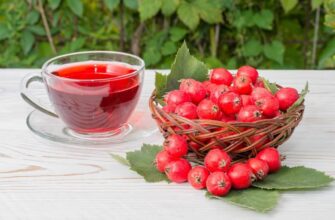 Применение боярышника в медицине